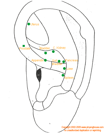 abdominaluro.gif