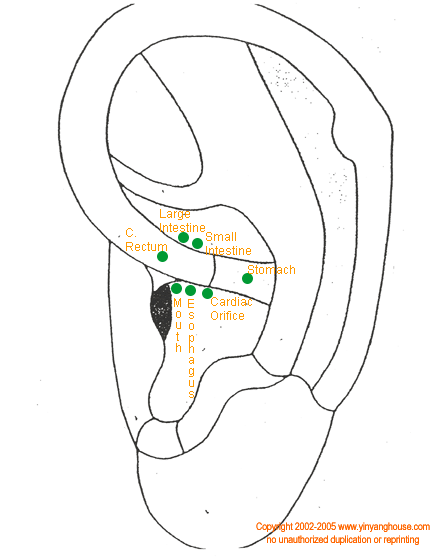 digestivepoints.gif
