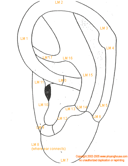 auricular landmarks graphic
