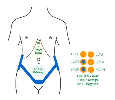 liver deficiency cold pattern abdominal presentation