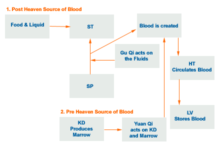 production of blood map