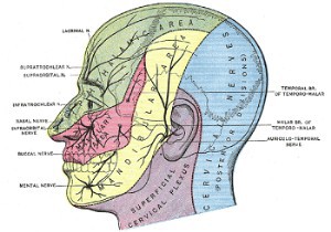 Acupuncture Treatment Helpful for Trigeminal Neuralgia