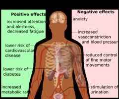 Coffee, Tea, and Acupuncture for Pain - They May Not Mix