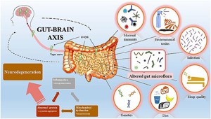 Diabetes, Brain Health, and the role of Astragalus