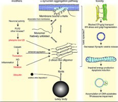 Parkinson's Disease Yields To Basic Moxibustion Treatment (Study)
