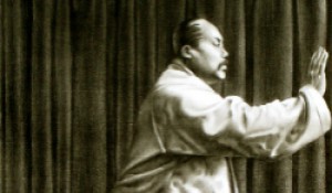 Tai Chi Instruction Videos - Yang Style 42 Big Circle Form