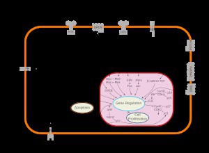 The Biochemistry Of How Moxibustion Aids Post-Infectious Irritable Bowel Syndrome (PI-IBS)