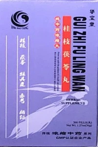 Gui Zhi Fu Ling Wan - HBW