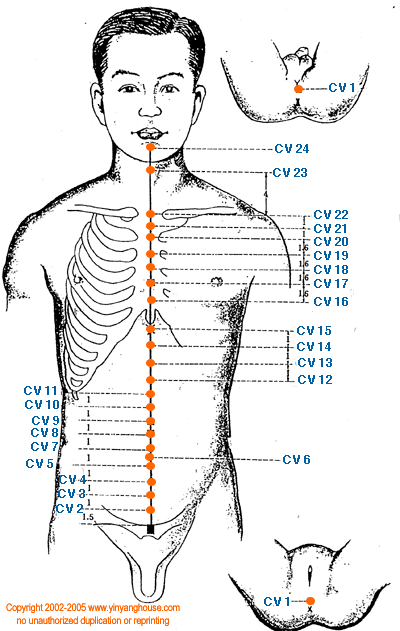 Conception Vessel Meridian Graphic - TCM Energy Channel Pathway