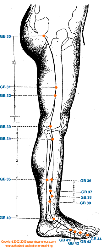 Gallbladder Meridian Graphic 2 - Additional Pathway View