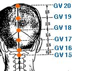 GV 19 Point Location