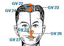 GV 26 Point Location