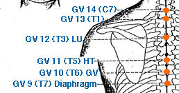 GV 14 Point Location