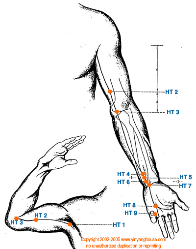 Heart Meridian Graphic - TCM Energy Channel Pathway
