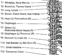 EX Huatuojiaji at T6 Point Location