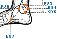 KD 2 Point Location