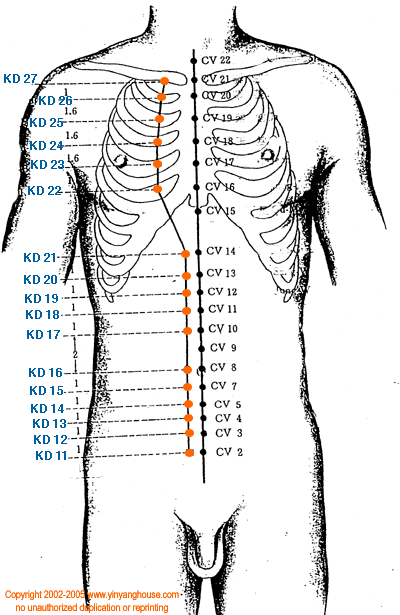 Kidney Meridian Graphic 2 - Additional Pathway View