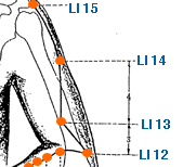 LI 13 Point Location