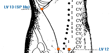 LV 12 Point Location