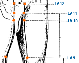 LV 10 Point Location