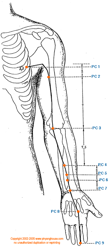 Pericardium Meridian Graphic - TCM Energy Channel Pathway
