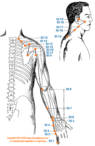 Small Intestine Meridian Graphic - TCM Energy Channel Pathway