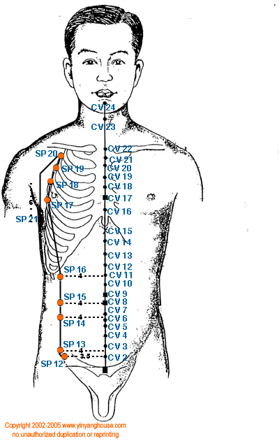 Spleen Meridian Graphic - TCM Energy Channel Pathway