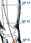 SP 10 Point Location