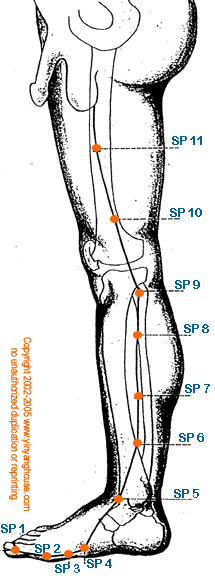 Spleen Meridian Graphic 2 - Additional Pathway View