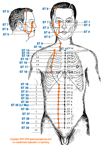 Stomach Meridian Graphic - TCM Energy Channel Pathway