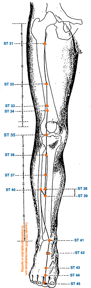 Stomach Meridian Graphic 2 - Additional Pathway View