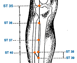 ST 38 Point Location