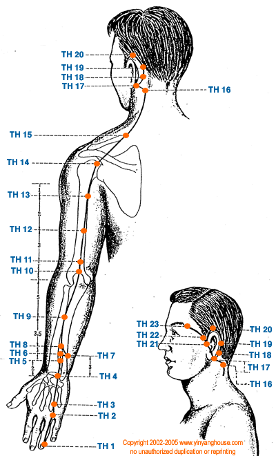 Triple Heater Meridian Graphic - TCM Energy Channel Pathway