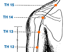 TH 15 Point Location