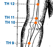 TH 10 Point Location