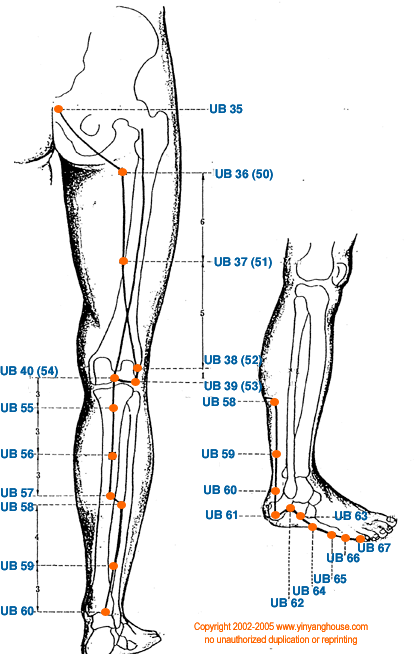 Urinary Bladder Meridian Graphic 2 - Additional Pathway View
