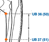 UB 37 Point Location