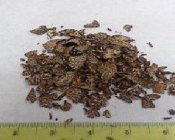 Bing Lang (Betel Nut, Areca Seeds)