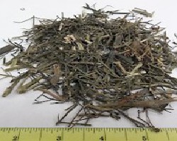 Chuan Xin Lian (Green Chiretta)