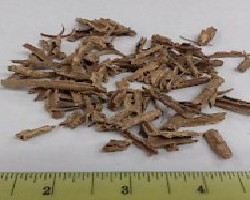 Di Fu Zi (Broom Cyprus Fruit)