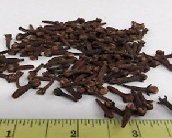 Ding Xiang (Clove Flower Bud)