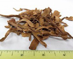 Gu Sui Bu (Drynaria Rhizome)