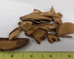 Hai Feng Teng (Kadsura Stem, Futokadsura Stem)