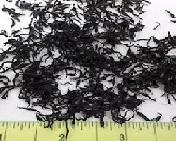 Hai Zao (Sargassum, Seaweed)