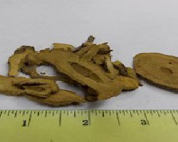 Hu Zhang (Bushy Knotweed Root)