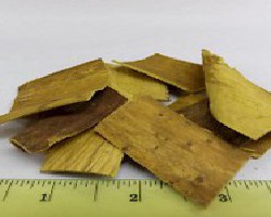 Huang Bai (Amur Cork Tree Bark, Phellodendron)