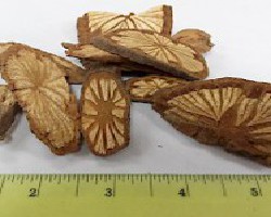 Ji Xue Teng (Millettia Vine)