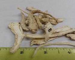 Jie Geng (Balloon Flower Rhizome)