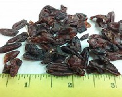 Shan Zhu Yu (Asiatic Cornelian Cherry Fruit)