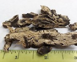 Sheng Ma (Black Cohosh Rhizome, Bugbane Rhizome)